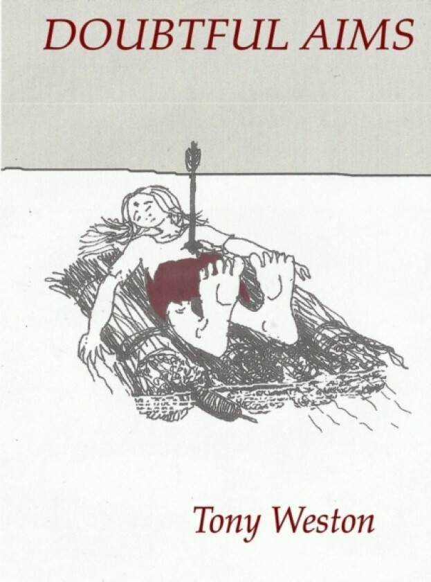 Doubtful Aims av Tony Weston (Paperback)