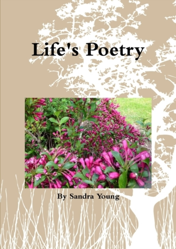 Life's Poetry av Sandra Young (Paperback)