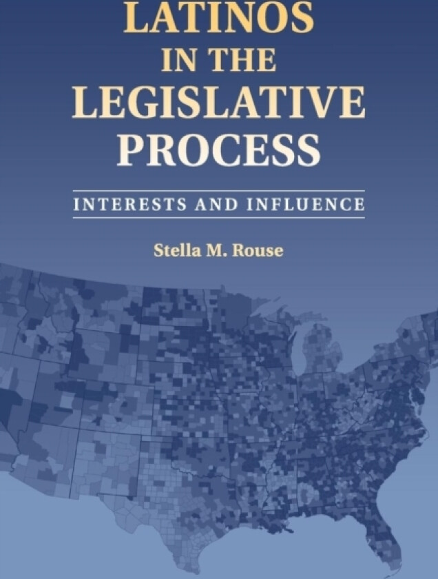 Latinos in the Legislative Process av Stella M. Rouse (Paperback)