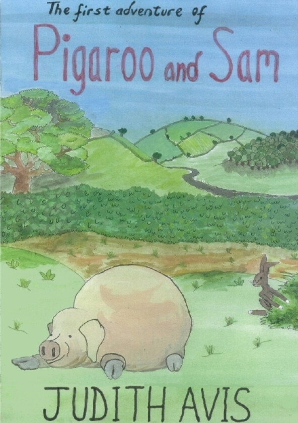 The First Adventure of Pigaroo and Sam av jUDI WARBURTON-AVIS (Paperback)