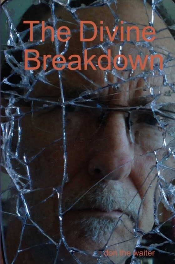 The Divine Breakdown av Don Jr Lehman (Paperback)