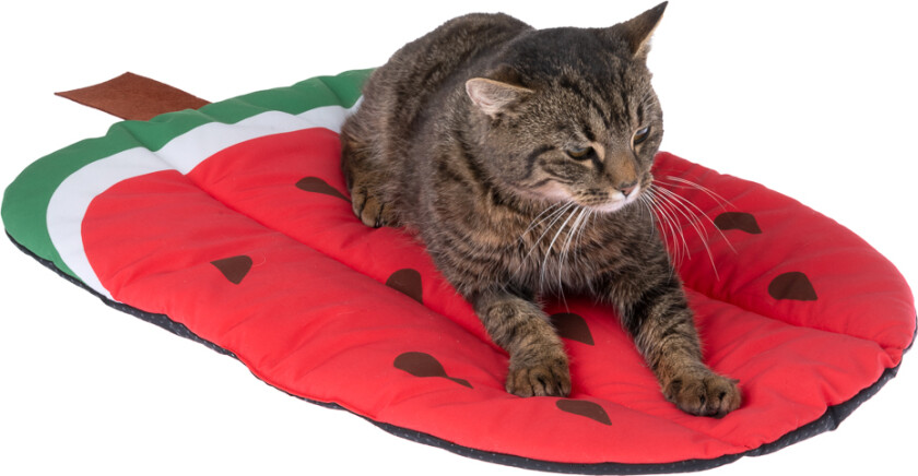 kjølematte vannmelon - L 65 x B 40 x H 2 cm