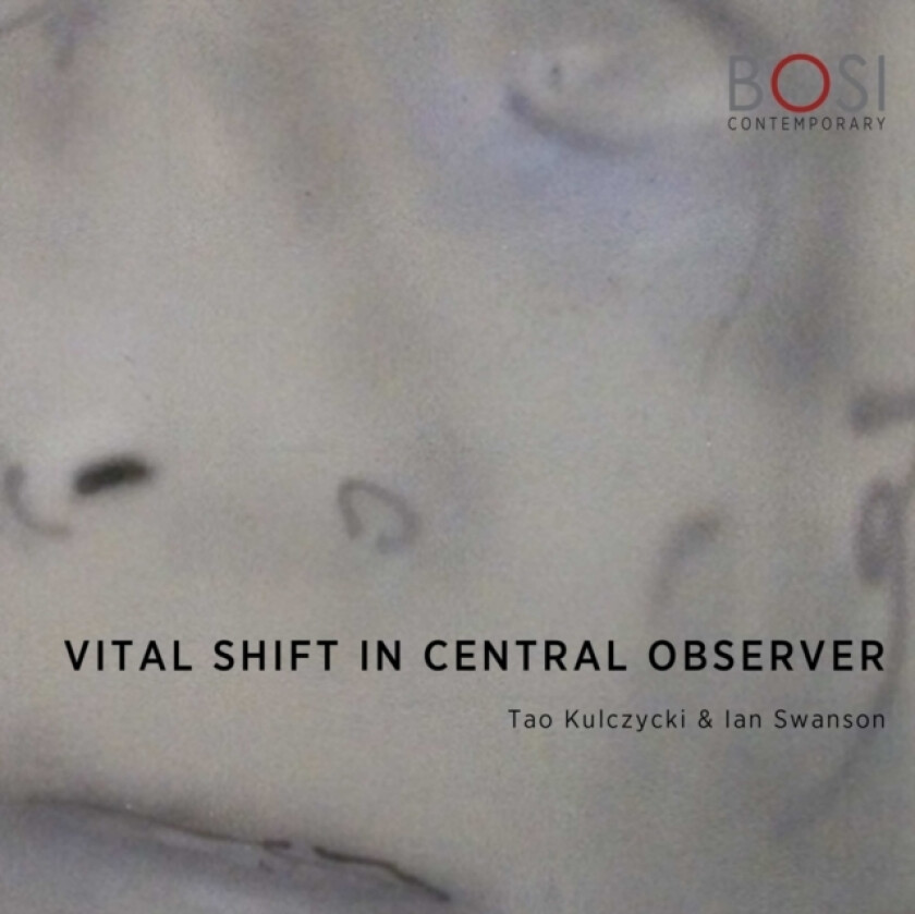 Vital Shift in Central Observer av Bosi Contemporary (Paperback)