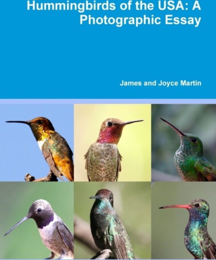 Hummingbirds of the USA: A Photographic Essay av James and Joyce Martin (Paperback)