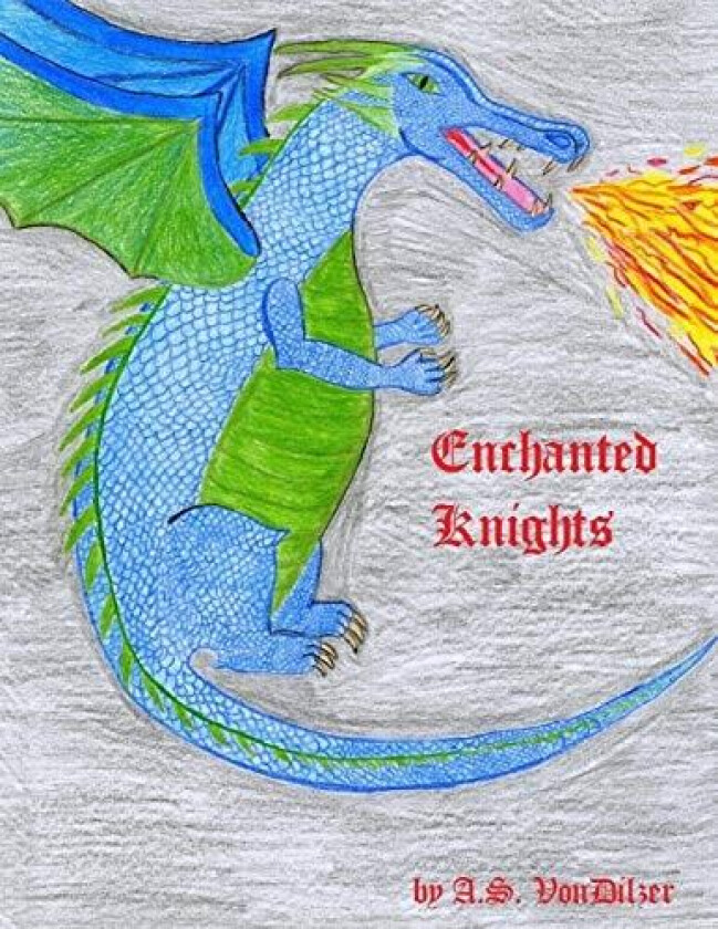 Enchanted Knights av A.S. VonDilzer (Paperback)