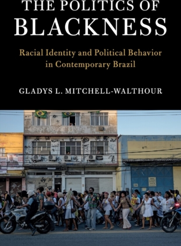 The Politics of Blackness av Gladys L. Mitchell-Walthour (Paperback)