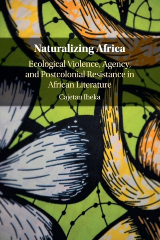 Naturalizing Africa av Cajetan Iheka (Paperback)