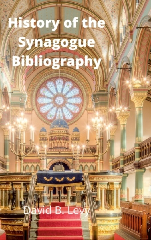 History of the Synagogue Bibliography av David B Levy (Hardcover)