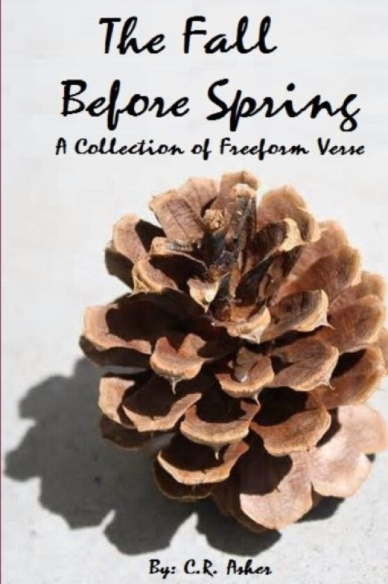 The Fall Before Spring av C.R. Asher (Paperback)