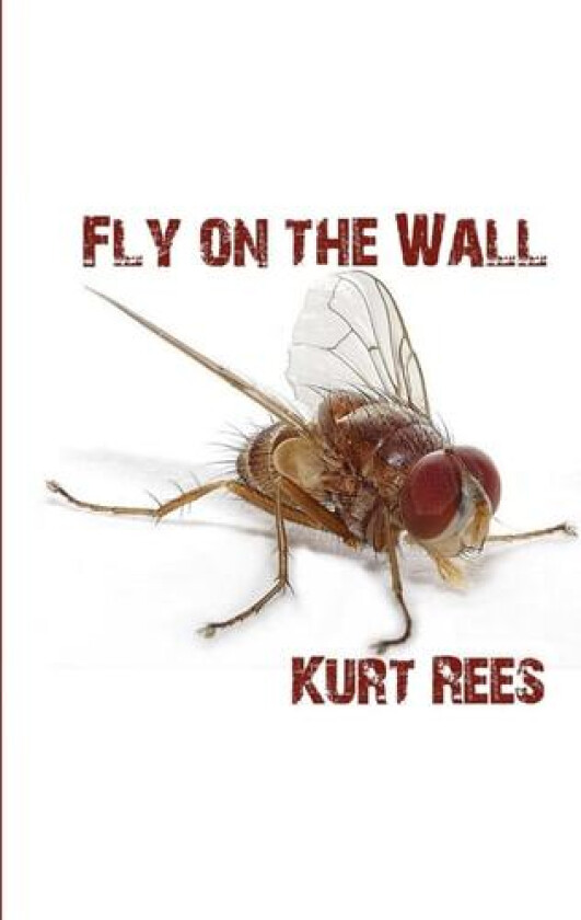 Fly on the Wall av Kurt Rees (Paperback)