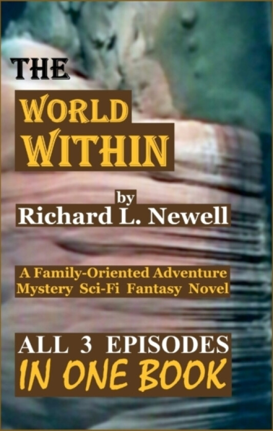 The World Within av Richard L Newell (Paperback)