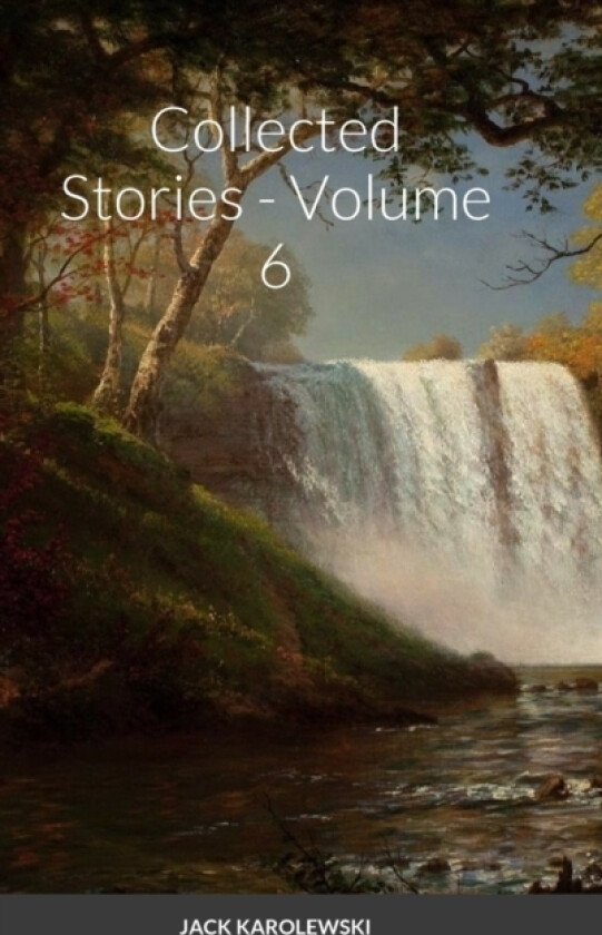 Collected Stories - Volume 6 av Jack Karolewski (Hardcover)