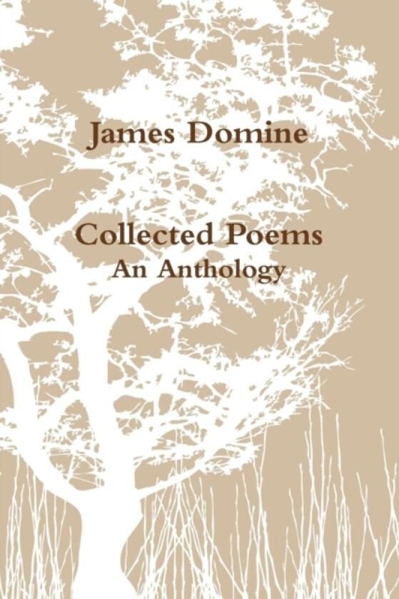Collected Poems av James Domine (Paperback)