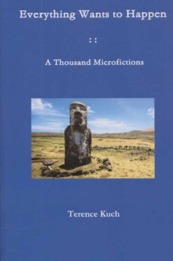 Everything Wants to Happen av Terence Kuch (Paperback)