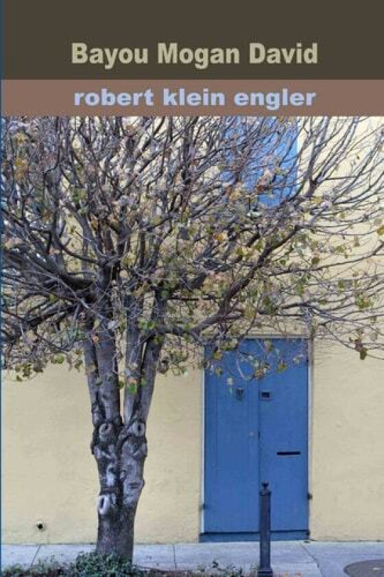 Bayou Mogan David av Robert Klein Engler (Paperback)