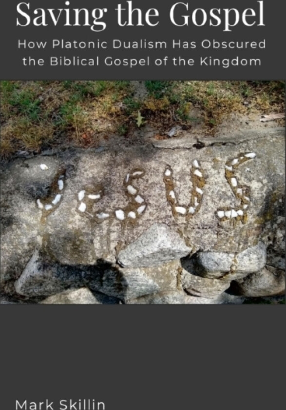 Saving the Gospel av Mark Skillin (Paperback)