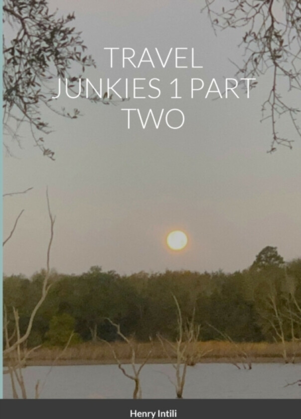 Travel Junkies 1 Part Two av Henry Intili (Paperback)