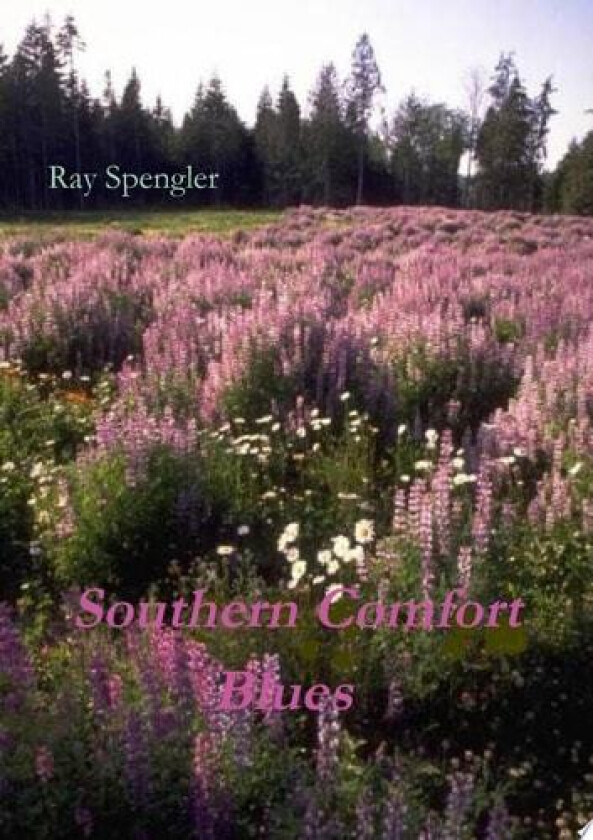 Southern Comfort Blues av Ray Spengler (Paperback)