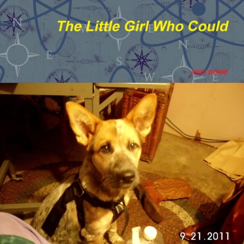 The little Girl Who Could av Andi Bowe (Paperback)