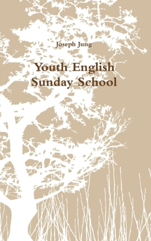 Youth English Sunday School av Joseph Jung (Hardcover)