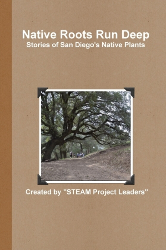 Native Roots Run Deep av Matthew Leader (Paperback)