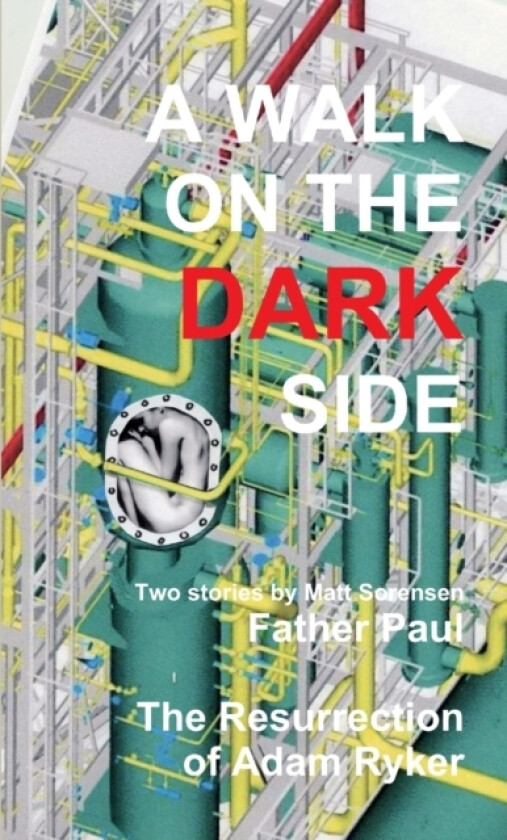 A Walk On The Dark Side av Matt Sorensen (Paperback)