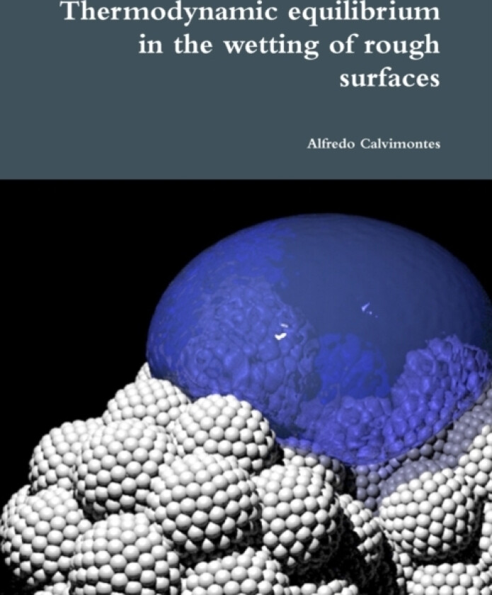 Thermodynamic Equilibrium in the Wetting of Rough Surfaces av Alfredo Calvimontes (Paperback)