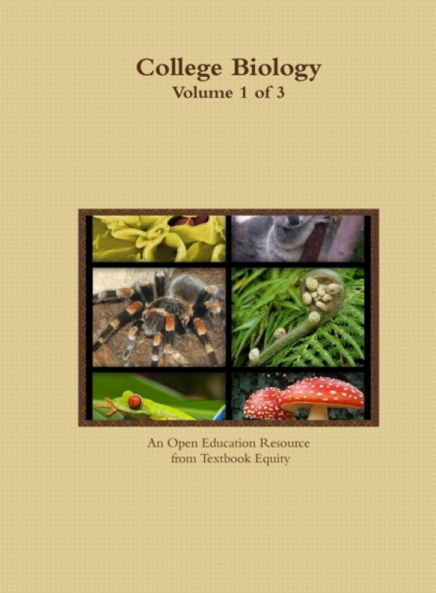 College Biology Volume 1 of 3 av Textbook Equity (Paperback)