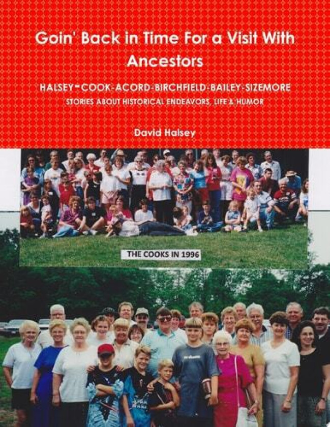 Goin' Back in Time For a Visit With Ancestors av David Halsey (Paperback)
