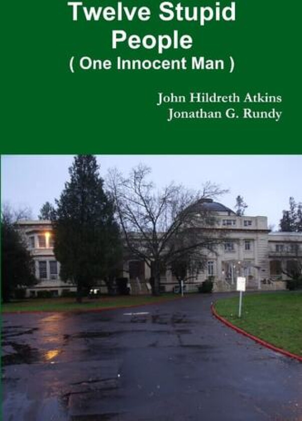 Twelve Stupid People av John Hildreth Atkins, Jonathan G Rundy (Paperback)