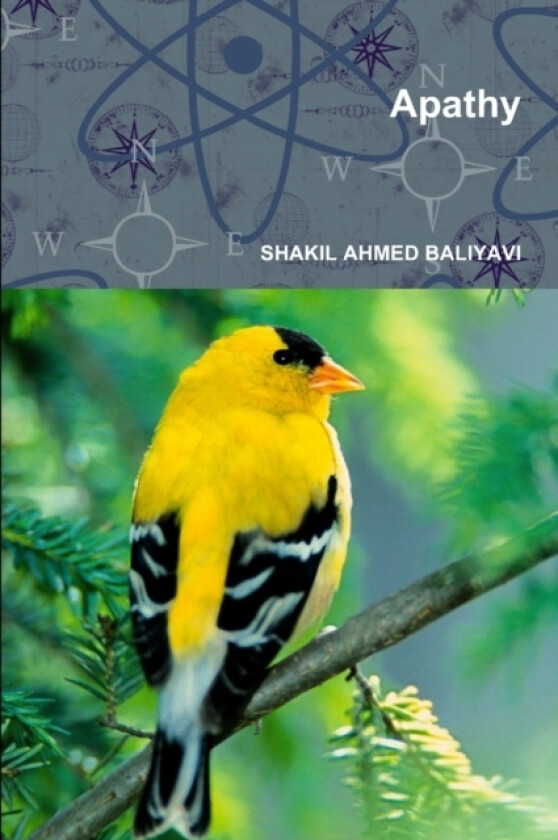 Apathy av Shakil Ahmed Baliyavi (Paperback)