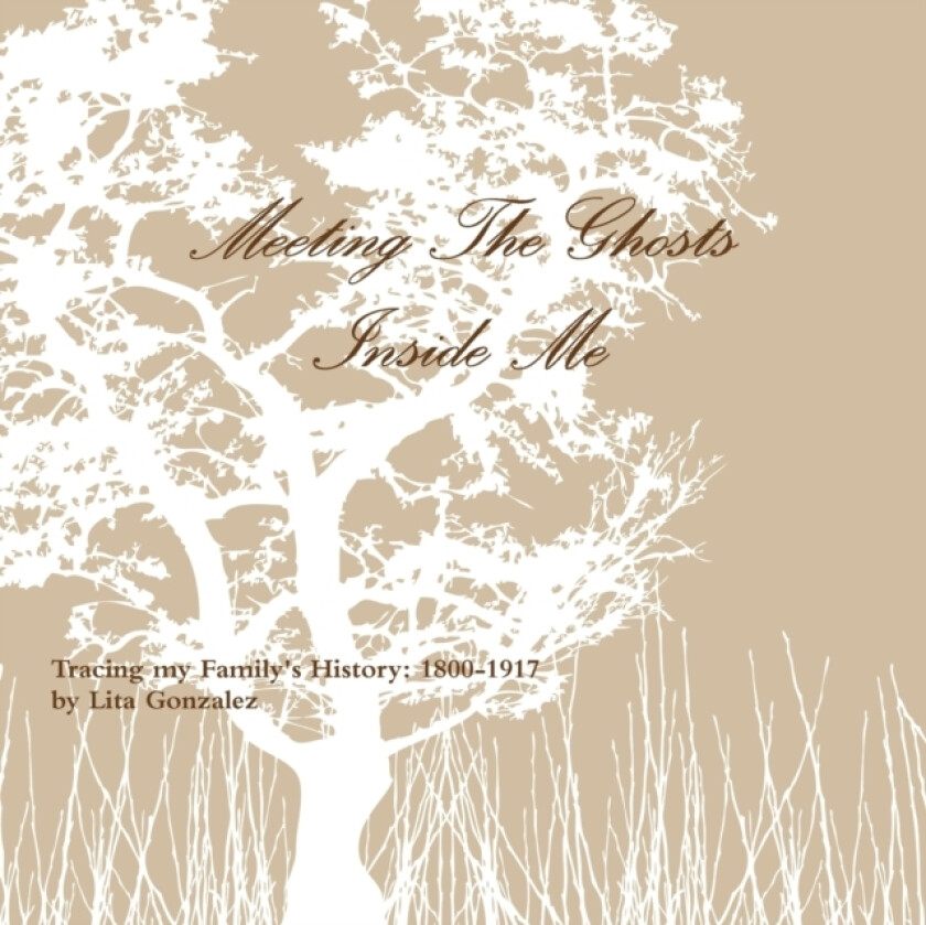 Meeting The Ghosts Inside Me av Lita Gonzalez (Paperback)