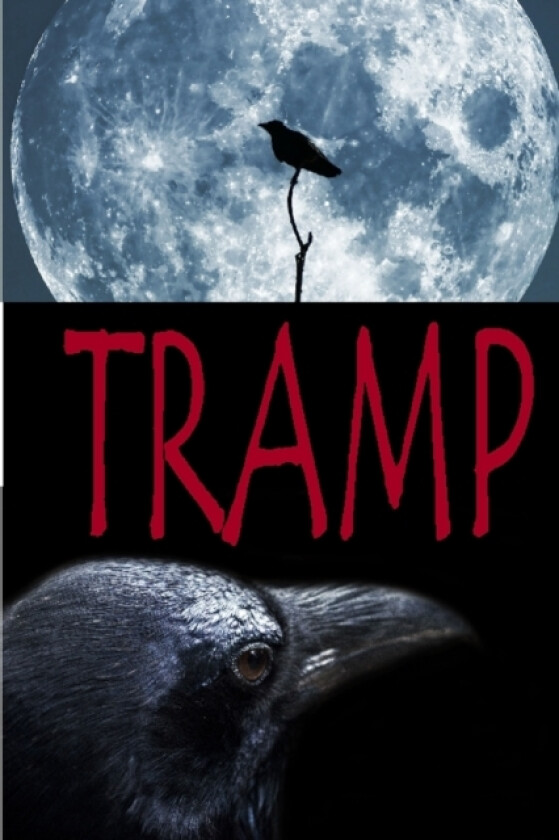 Tramp av Rada Higgins (Paperback)