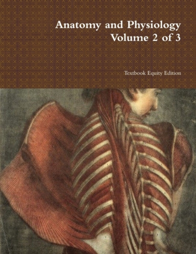 Anatomy and Physiology Volume 2 of 3 av Textbook Equity Edition (Paperback)