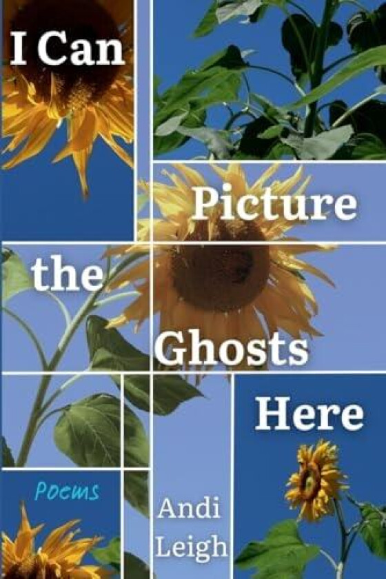 I Can Picture the Ghosts Here av Andi Leigh (Paperback)