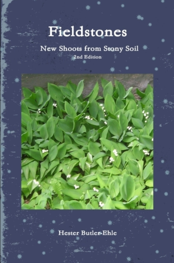 Fieldstones: New Shoots from Stony Soil av Hester Butler-Ehle (Paperback)