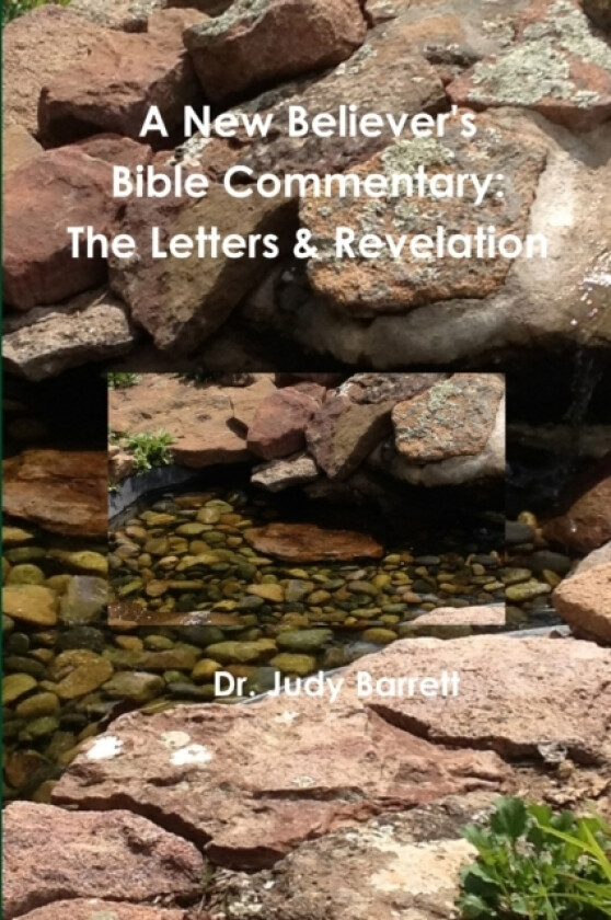 A New Believer's Bible Commentary av Dr Judy Barrett (Paperback)