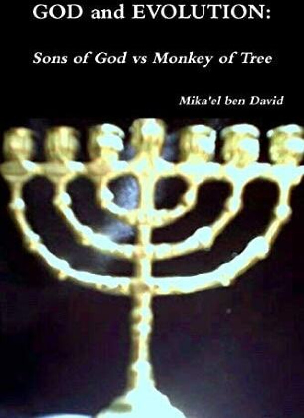 GOD and EVOLUTION: Sons of God vs Monkey of Tree av Mika'el ben David (Paperback)