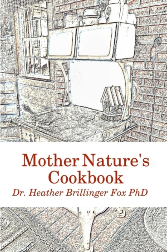 Mother Nature's Cookbook av Heather Brillinger Fox (Paperback)