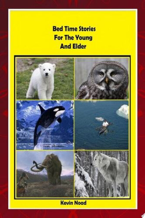 Bed Time Stories for the Young and Elder av Kevin Noad (Paperback)