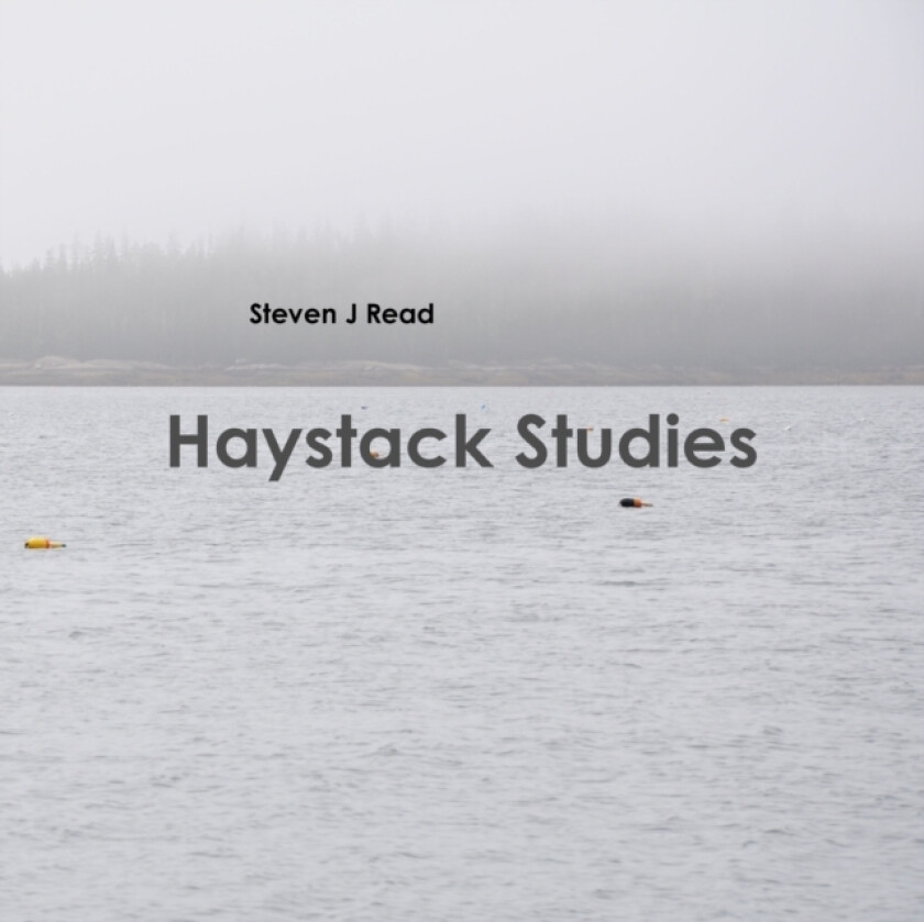 Haystack Studies av Steven J Read (Paperback)