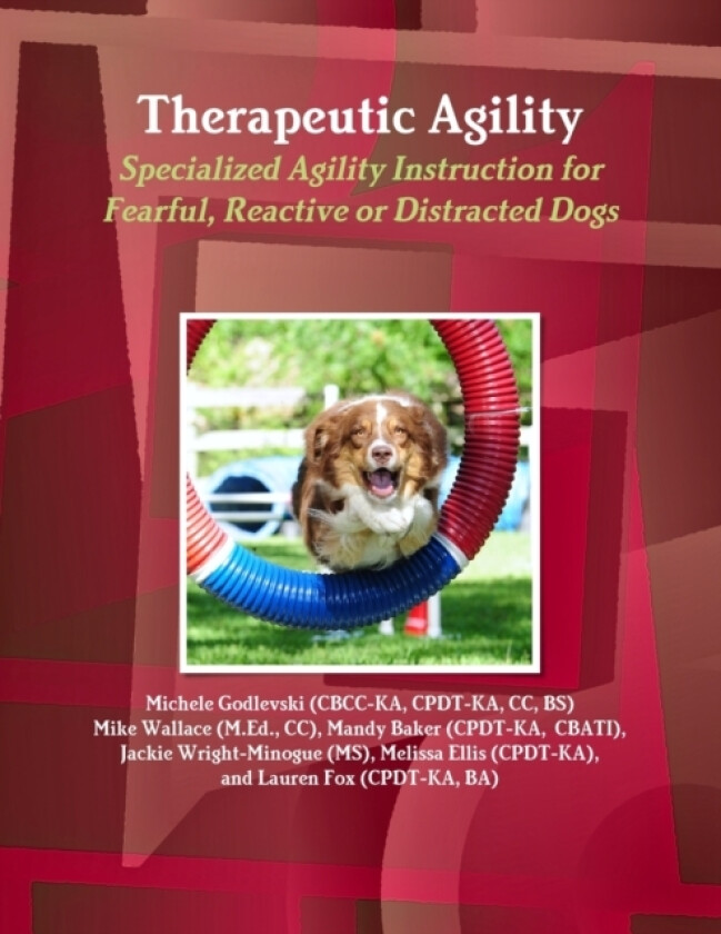 Therapeutic Agility av Michele Godlevski (Paperback)