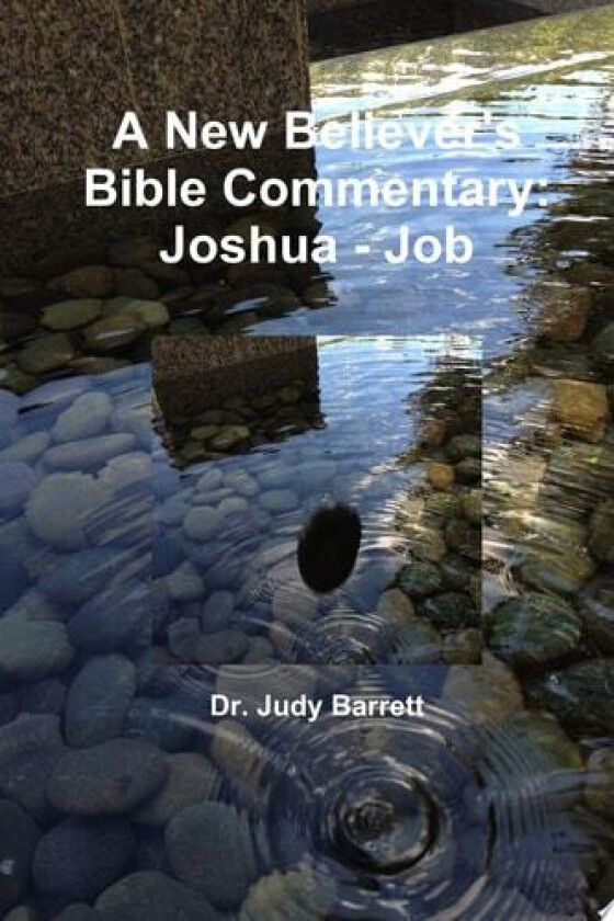A New Believer's Bible Commentary: Joshua - Job av Dr. Judy Barrett (Paperback)