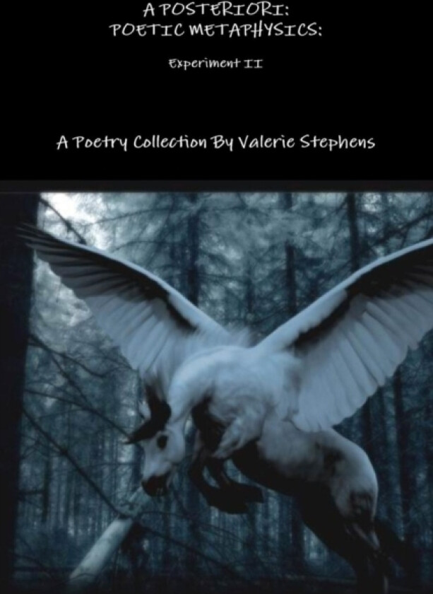 A POSTERIORI: AN EXPERIMENT IN POETIC METAPHYSICS II av Valerie Stephens (Paperback)