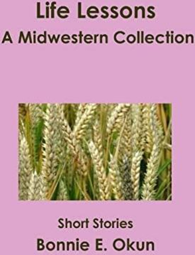 Life Lessons - A Midwestern Collection av Bonnie E. Okun (Paperback)