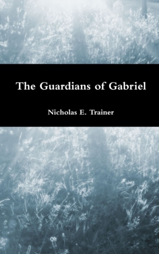 The Guardians of Gabriel av Nicholas Trainer (Hardcover)