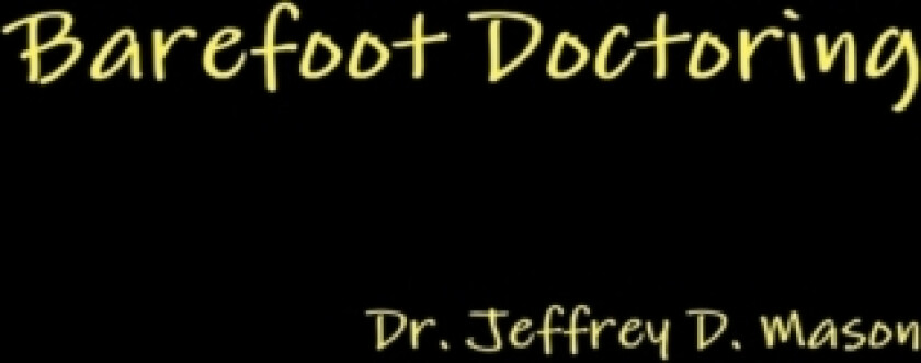 Barefoot Doctoring av Dr Jeffrey D Mason (Paperback)