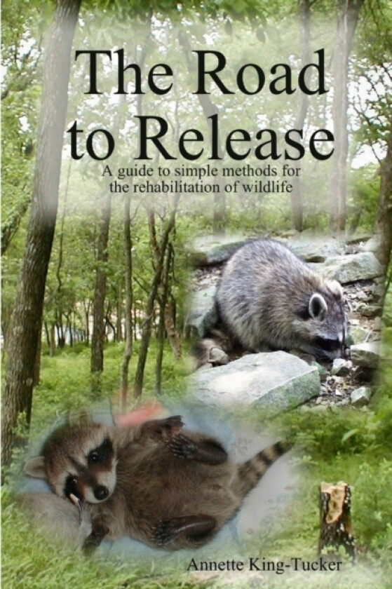 The Road to Release av Annette King-Tucker (Paperback)