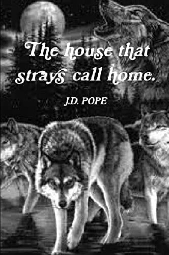 The House That Strays Call Home. av J.D. POPE (Paperback)