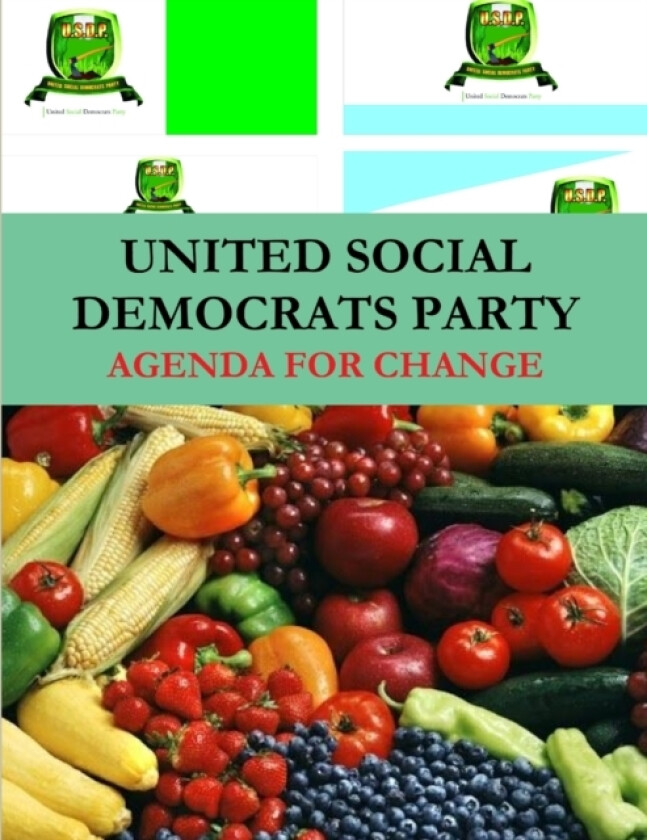 United Social Democrats Party of Nigeria: Manifesto av OLUSEGUN ONI (Paperback)